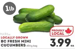 IGA BC fresh mini cucumbers offer