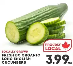 IGA Fresh bc organic long english cucumbers offer