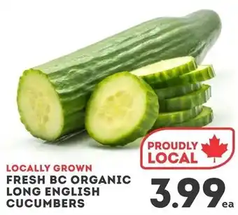 IGA Fresh bc organic long english cucumbers offer