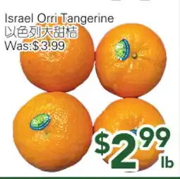 Ample Food Market Israel Orri Tangerine offer