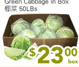 Ample Food Market Green Cabbage In Box offer