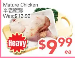 Ample Food Market Mature Chicken offer