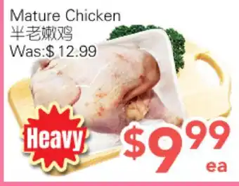 Ample Food Market Mature Chicken offer
