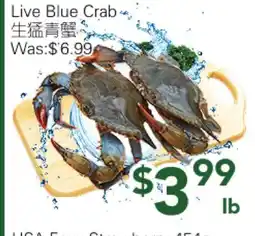 Ample Food Market Live Blue Crab offer