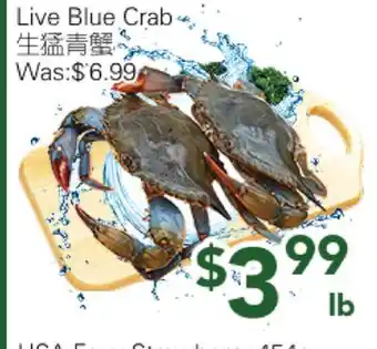 Ample Food Market Live Blue Crab offer