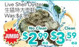 Ample Food Market Live shell Oyster offer