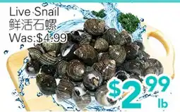 Ample Food Market Live Snail offer