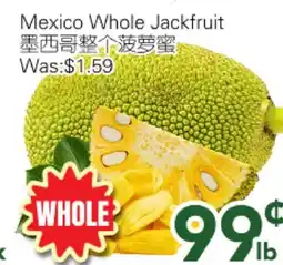 Ample Food Market Mexico Whole Jackfruit offer