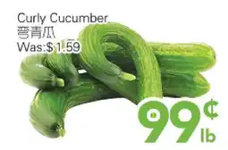 Ample Food Market Curly cucumber offer