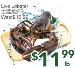 Ample Food Market Live lobster offer