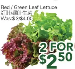 Ample Food Market Red / Green Leaf Lettuce offer