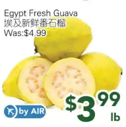 Ample Food Market Egypt Fresh Guava offer