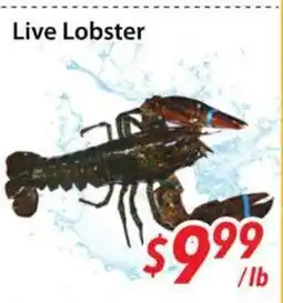 Bestco Food Mart Live Lobster offer