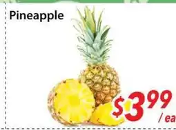 Bestco Food Mart Pineapple offer