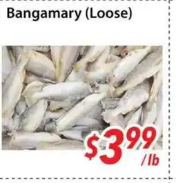 Bestco Food Mart Bangamary (Loose) offer