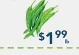 Oceans Fresh Food Market Green Long Chili offer