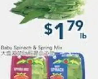Oceans Fresh Food Market AA Choy offer