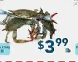 Oceans Fresh Food Market Live Crab offer