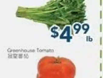 Oceans Fresh Food Market Green Ton Choy offer