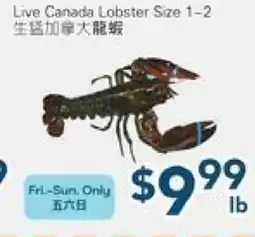 Oceans Fresh Food Market Live Canada Lobster Size 1-2 offer