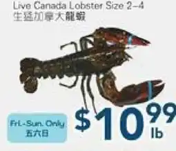 Oceans Fresh Food Market Live Canada Lobster Size 2-4 offer