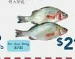 Oceans Fresh Food Market Seafood offer