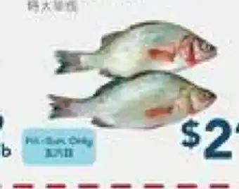 Oceans Fresh Food Market Seafood offer