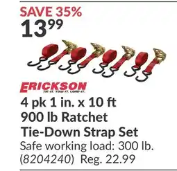Princess Auto 4 pk 1 in. x 10 900 lb Ratchet Tie-Down Strap Set offer