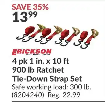 Princess Auto 4 pk 1 in. x 10 900 lb Ratchet Tie-Down Strap Set offer