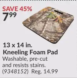 Princess Auto 13 x 14 in. Kneeling Foam Pad offer
