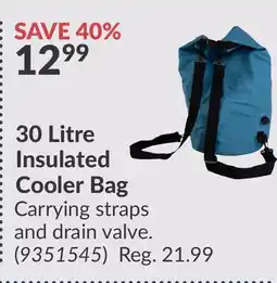 Princess Auto 30 Litre Insulated Cooler offer