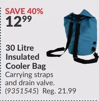 Princess Auto 30 Litre Insulated Cooler offer