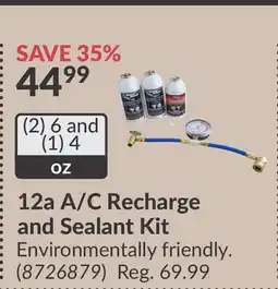 Princess Auto 12a A/C Recharge and Sealant Kit offer