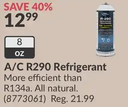 Princess Auto A/C R290 Refrigerant offer