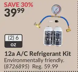 Princess Auto 12a A/C Refrigerant Kit offer