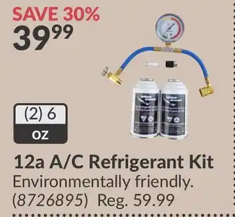 Princess Auto 12a A/C Refrigerant Kit offer
