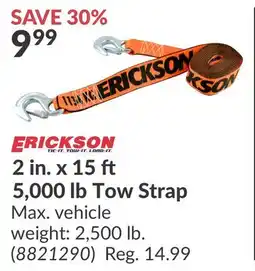Princess Auto 2 in. x 15 5,000 lb Tow Strap offer