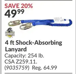 Princess Auto 4 ft Shock-Absorbing Lanyard offer