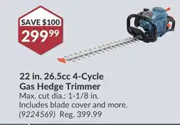 Princess Auto 22 in. 26.5cc 4-Cycle Gas Hedge Trimmer offer