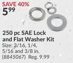 Princess Auto 250 pc SAE Lock and Flat Washer Kit offer