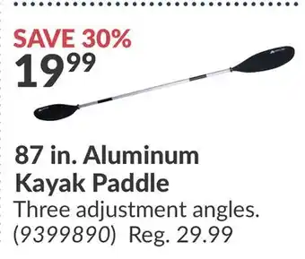 Princess Auto Aluminum Kayak Paddle offer