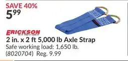 Princess Auto 2 in. x 2 ft5,000 lb Axle Strap offer