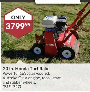 Princess Auto 20 in. Honda Turf Rake offer