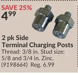 Princess Auto 2 pk Side Terminal Charging Posts offer