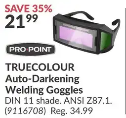 Princess Auto TRUECOLOUR Auto-Darkening Welding Goggles offer