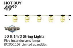 Princess Auto 50 ft 14/3 String Lights offer