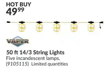Princess Auto 50 ft 14/3 String Lights offer