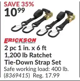 Princess Auto 1 Ratchet Tie-Down Strap Set offer