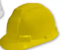 Princess Auto Class E Hard Hats offer