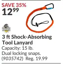 Princess Auto 3 ft Shock-Absorbing Tool Lanyard offer